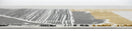 Switch BOUTIQUE 456 GOLD 5 X 7 RUG 3 image